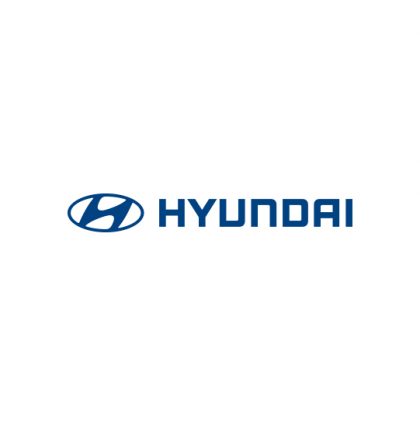 Hyundai Motor Company introduction
